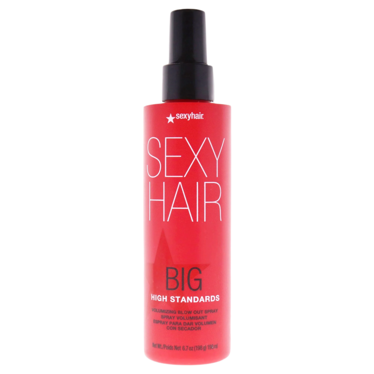 Big High Standards Volumizing Blow Out Spray