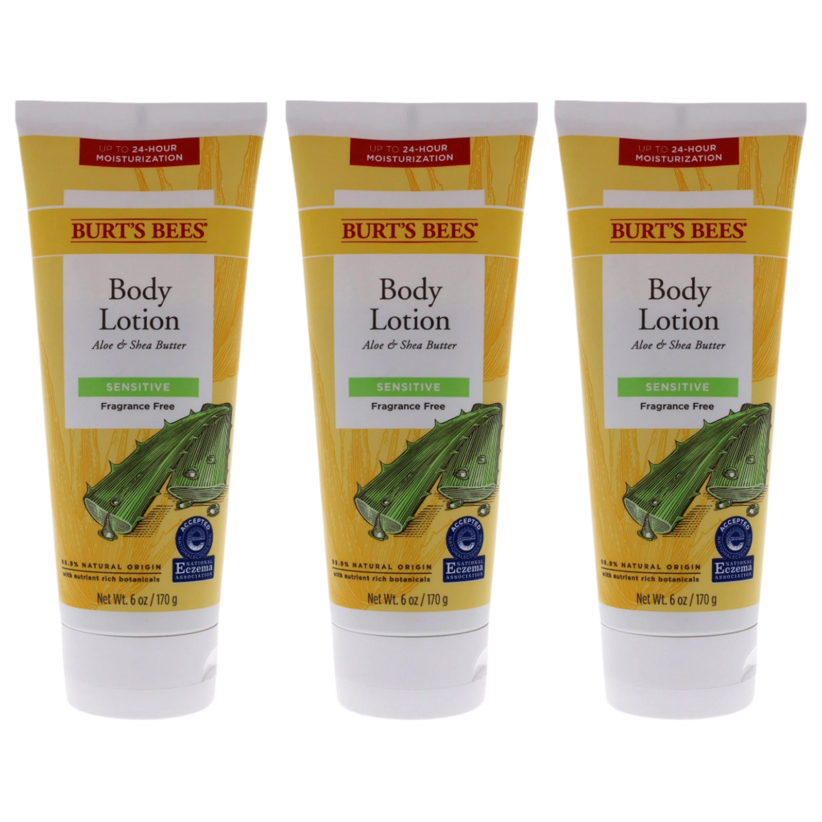 Aloe and Shea Butter Body Lotion