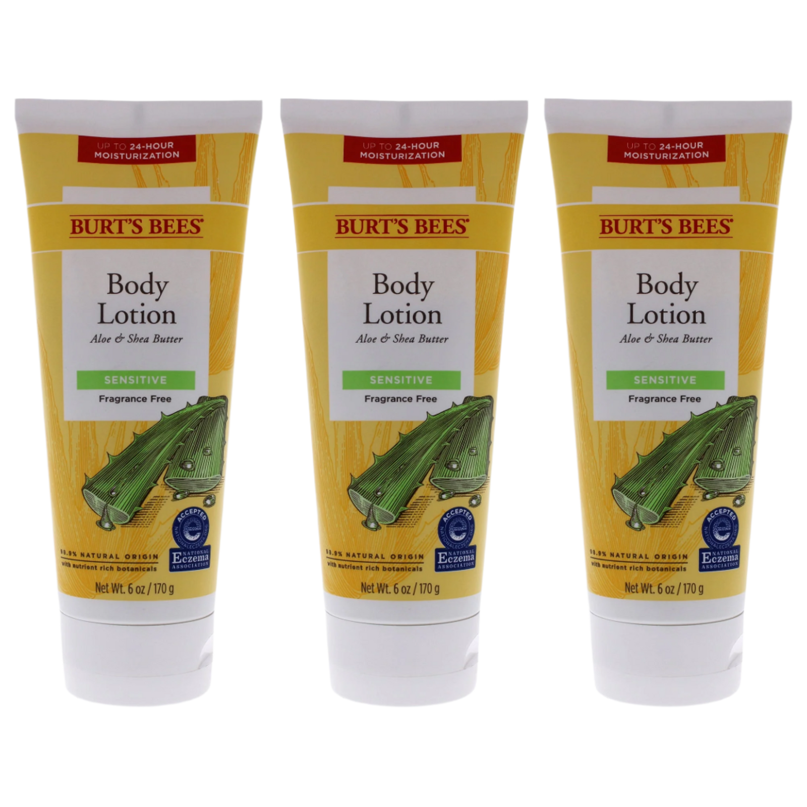 Aloe and Shea Butter Body Lotion