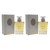 Diorama Spray